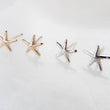 Load image into Gallery viewer, Tiny Starfish Studs • Delicate Starfish Earrings • Minimalist Earrings • Gold Starfish Studs • Beach Themed Jewelry • Cute Little Starfish