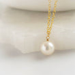Load image into Gallery viewer, Pearl Drop Necklace • Single Freshwater Pearl • Minimalist Jewelry • Delicate Layering Necklace • Bridesmaid Gift • Gift For Her
