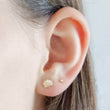 Load image into Gallery viewer, Dainty Seashell Studs • Tiny Gold Earrings • Stud Earrings • Silver Shell Studs • Minimalist • Gold Studs • Post Studs • Beachy