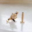 Load image into Gallery viewer, 3 leaf vine stud in diamond cz, 14k gold plated surgical steel on white background by Studio Blue on Etsy
