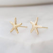 Load image into Gallery viewer, 14k Starfish Studs • Delicate Starfish Earrings • Tiny Sea Star Earrings • Gold Starfish Studs • Beach Theme • Cute Little Starfish