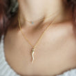 Load image into Gallery viewer, Italian Horn Necklace • Good Luck Charm • Italy Horn • Birthstone Necklace • Necklace Set • Layered Necklaces • Birthday Gift • Amulet Charm