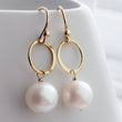 Load image into Gallery viewer, Pearl Drop Earrings • Freshwater Pearls • Modern Pearl Dangles • Delicate Gold & Pearl Earrings • Minimalist Style • Classic Pearls