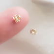 Load image into Gallery viewer, 14K Gold Earring Backs - Studio Blue