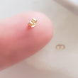 Load image into Gallery viewer, Tiny Yellow Gold Fill Earring Backs - Studio Blue