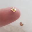 Load image into Gallery viewer, Basic Earring Backs - Studio Blue