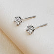 Load image into Gallery viewer, Classic CZ Diamond Studs in 14k Gold - Studio Blue