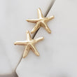 Load image into Gallery viewer, Delicate Starfish Studs - Studio Blue