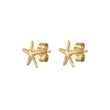 Load image into Gallery viewer, Delicate Starfish Studs - Studio Blue