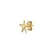 Load image into Gallery viewer, Delicate Starfish Studs - Studio Blue