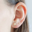 Load image into Gallery viewer, Little Seashell Studs - Studio Blue
