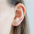 Load image into Gallery viewer, Dainty Ball Studs in 14K Gold - Studio Blue