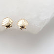 Load image into Gallery viewer, Little Seashell Studs - Studio Blue