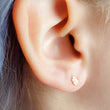 Load image into Gallery viewer, Delicate Feather Studs in 14K Gold - Studio Blue