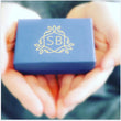 Load image into Gallery viewer, Sparkle Stud Link Drops - Studio Blue