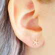 Load image into Gallery viewer, Delicate Starfish Studs - Studio Blue