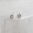 Load image into Gallery viewer, Dainty Diamond Studs in 14k Gold - Studio Blue