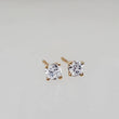 Load image into Gallery viewer, Diamond CZ Studs in 14K Gold - Studio Blue
