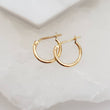 Load image into Gallery viewer, Classic Hoop Earrings - Studio Blue