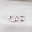 Load image into Gallery viewer, Classic Hoop Earrings - Studio Blue