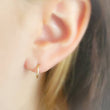 Load image into Gallery viewer, Classic Hoop Earrings - Studio Blue