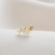 Load image into Gallery viewer, Tiny Stars Flat Back in 14k Gold - Studio Blue
