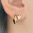 Load image into Gallery viewer, Sparkling Paw Studs
