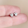Load image into Gallery viewer, Sparkling Paw Studs
