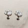 Load image into Gallery viewer, Sparkling Paw Studs

