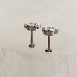 Load image into Gallery viewer, Sparkling Paw Studs
