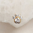 Load image into Gallery viewer, Sparkling Paw Studs
