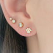 Load image into Gallery viewer, Sparkling Paw Studs
