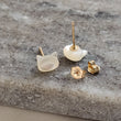Load image into Gallery viewer, Kitty Cat Studs

