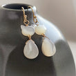 Load image into Gallery viewer, Deluxe Cat Earrings
