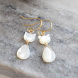 Load image into Gallery viewer, Deluxe Cat Earrings
