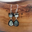 Load image into Gallery viewer, Deluxe Cat Earrings
