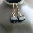Load image into Gallery viewer, Still Wild© Drop Earrings

