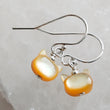 Load image into Gallery viewer, Still Wild© Drop Earrings
