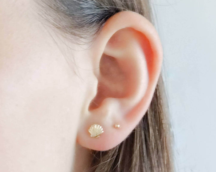 Dainty Seashell Studs • Tiny Gold Earrings • Stud Earrings • Silver Shell Studs • Minimalist • Gold Studs • Post Studs • Beachy