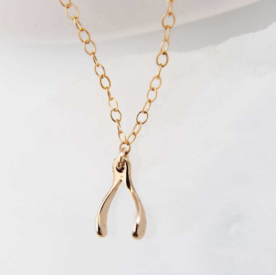Tiny Wishbone Necklace • Dainty Wishbone Charm • Delicate Gold Chain • Layering Necklace • Good Luck Charm • Girlfriend Gift • Bestie Gift