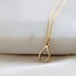 Load image into Gallery viewer, Tiny Wishbone Necklace • Dainty Wishbone Charm • Delicate Gold Chain • Layering Necklace • Good Luck Charm • Girlfriend Gift • Bestie Gift
