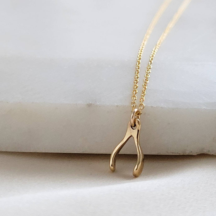 Tiny Wishbone Necklace • Dainty Wishbone Charm • Delicate Gold Chain • Layering Necklace • Good Luck Charm • Girlfriend Gift • Bestie Gift