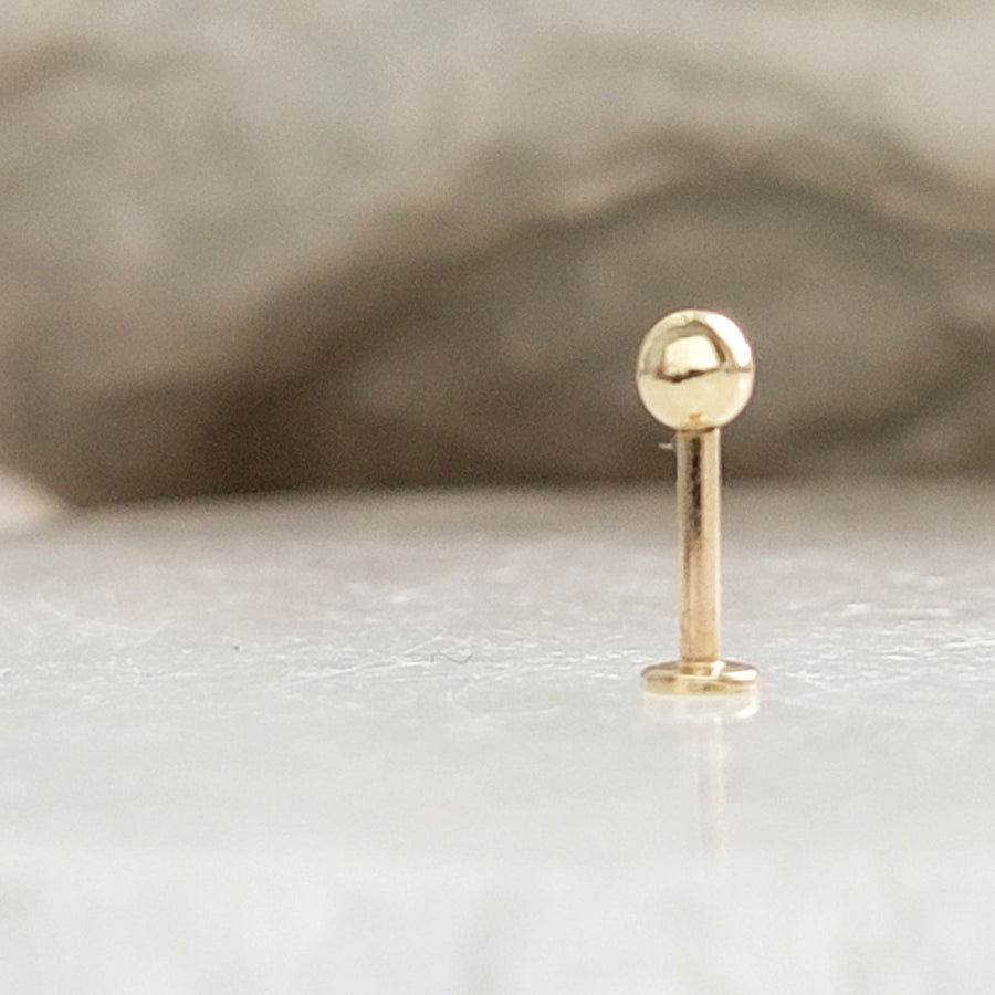 Solid 14K Yellow Gold Ball studs. Flat back, push-in style. 18 gauge Labret. Monroe, cartilage, 4mm ball, by Studio Blue on Etsy