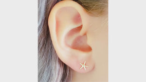 14k Starfish Studs • Delicate Starfish Earrings • Tiny Sea Star Earrings • Gold Starfish Studs • Beach Theme • Cute Little Starfish