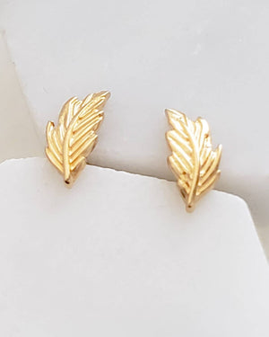 Delicate Feather Studs in 14K Gold - Studio Blue